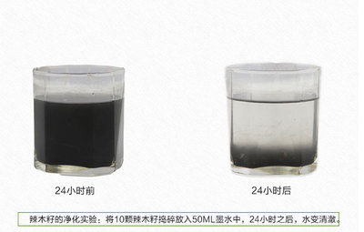 綠色環(huán)保實用的辣木凈水劑