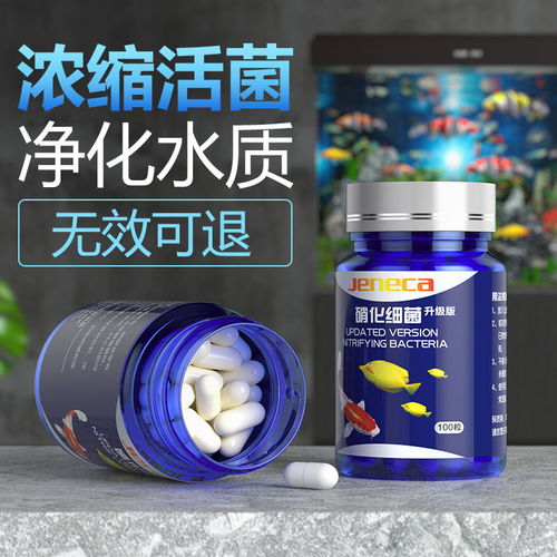 魚缸硝化細菌硝化菌消化細菌養(yǎng)魚用品水族凈水劑凈化劑水質(zhì)穩(wěn)定劑